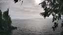 ./images/koeye/fitz-hugh/20260806/fitz-hugh20260806_174501M.jpg