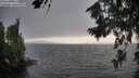 ./images/koeye/fitz-hugh/20260806/fitz-hugh20260806_195501M.jpg