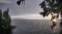 ./images/koeye/fitz-hugh/20260806/fitz-hugh20260806_201001M.jpg