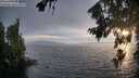 ./images/koeye/fitz-hugh/20260806/fitz-hugh20260806_202001M.jpg