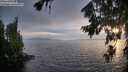 ./images/koeye/fitz-hugh/20260806/fitz-hugh20260806_202501M.jpg