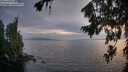 ./images/koeye/fitz-hugh/20260806/fitz-hugh20260806_204501M.jpg