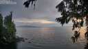 ./images/koeye/fitz-hugh/20260806/fitz-hugh20260806_205002M.jpg