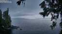 ./images/koeye/fitz-hugh/20260806/fitz-hugh20260806_212001M.jpg