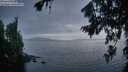 ./images/koeye/fitz-hugh/20260806/fitz-hugh20260806_212501M.jpg