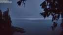 ./images/koeye/fitz-hugh/20260807/fitz-hugh20260807_052501M.jpg
