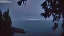 ./images/koeye/fitz-hugh/20260807/fitz-hugh20260807_053001M.jpg