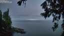 ./images/koeye/fitz-hugh/20260807/fitz-hugh20260807_054001M.jpg