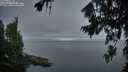./images/koeye/fitz-hugh/20260807/fitz-hugh20260807_054501M.jpg
