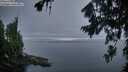 ./images/koeye/fitz-hugh/20260807/fitz-hugh20260807_055002M.jpg