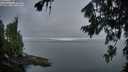 ./images/koeye/fitz-hugh/20260807/fitz-hugh20260807_055501M.jpg