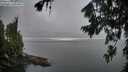 ./images/koeye/fitz-hugh/20260807/fitz-hugh20260807_060001M.jpg
