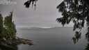 ./images/koeye/fitz-hugh/20260807/fitz-hugh20260807_081001M.jpg