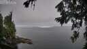 ./images/koeye/fitz-hugh/20260807/fitz-hugh20260807_082002M.jpg