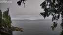 ./images/koeye/fitz-hugh/20260807/fitz-hugh20260807_082501M.jpg