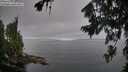 ./images/koeye/fitz-hugh/20260807/fitz-hugh20260807_083501M.jpg