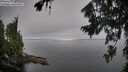 ./images/koeye/fitz-hugh/20260807/fitz-hugh20260807_084501M.jpg
