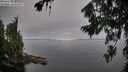 ./images/koeye/fitz-hugh/20260807/fitz-hugh20260807_085001M.jpg