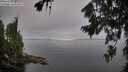 ./images/koeye/fitz-hugh/20260807/fitz-hugh20260807_085501M.jpg