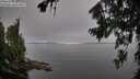 ./images/koeye/fitz-hugh/20260807/fitz-hugh20260807_090001M.jpg