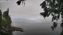 ./images/koeye/fitz-hugh/20260807/fitz-hugh20260807_094001M.jpg