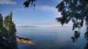 ./images/koeye/fitz-hugh/20260807/fitz-hugh20260807_104501M.jpg