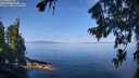 ./images/koeye/fitz-hugh/20260807/fitz-hugh20260807_105502M.jpg