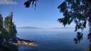 ./images/koeye/fitz-hugh/20260807/fitz-hugh20260807_110001M.jpg