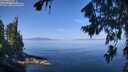 ./images/koeye/fitz-hugh/20260807/fitz-hugh20260807_110501M.jpg