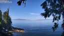 ./images/koeye/fitz-hugh/20260807/fitz-hugh20260807_111502M.jpg