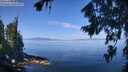 ./images/koeye/fitz-hugh/20260807/fitz-hugh20260807_112001M.jpg