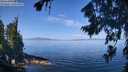 ./images/koeye/fitz-hugh/20260807/fitz-hugh20260807_112501M.jpg