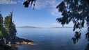 ./images/koeye/fitz-hugh/20260807/fitz-hugh20260807_113501M.jpg