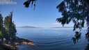 ./images/koeye/fitz-hugh/20260807/fitz-hugh20260807_114501M.jpg