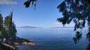 ./images/koeye/fitz-hugh/20260807/fitz-hugh20260807_115002M.jpg