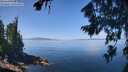 ./images/koeye/fitz-hugh/20260807/fitz-hugh20260807_121001M.jpg