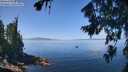 ./images/koeye/fitz-hugh/20260807/fitz-hugh20260807_121502M.jpg
