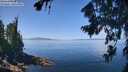 ./images/koeye/fitz-hugh/20260807/fitz-hugh20260807_122002M.jpg