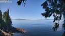 ./images/koeye/fitz-hugh/20260807/fitz-hugh20260807_123001M.jpg