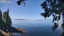./images/koeye/fitz-hugh/20260807/fitz-hugh20260807_123501M.jpg