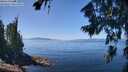 ./images/koeye/fitz-hugh/20260807/fitz-hugh20260807_125001M.jpg