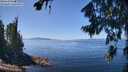 ./images/koeye/fitz-hugh/20260807/fitz-hugh20260807_125501M.jpg