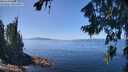 ./images/koeye/fitz-hugh/20260807/fitz-hugh20260807_130001M.jpg