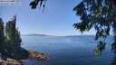 ./images/koeye/fitz-hugh/20260807/fitz-hugh20260807_131001M.jpg
