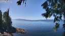 ./images/koeye/fitz-hugh/20260807/fitz-hugh20260807_132001M.jpg