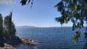 ./images/koeye/fitz-hugh/20260807/fitz-hugh20260807_134001M.jpg