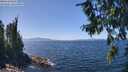 ./images/koeye/fitz-hugh/20260807/fitz-hugh20260807_134501M.jpg