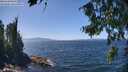 ./images/koeye/fitz-hugh/20260807/fitz-hugh20260807_135501M.jpg