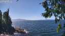 ./images/koeye/fitz-hugh/20260807/fitz-hugh20260807_140501M.jpg