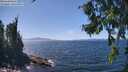 ./images/koeye/fitz-hugh/20260807/fitz-hugh20260807_141001M.jpg